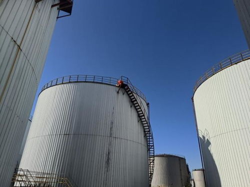 盤錦石化工廠以底價(jià)2245萬成交，臻鑫玖投資引發(fā)行業(yè)關(guān)注